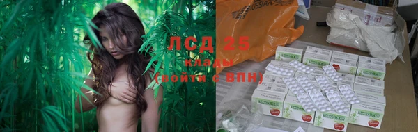 а пвп мука Алзамай