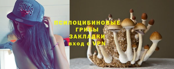 МДПВ Алексеевка