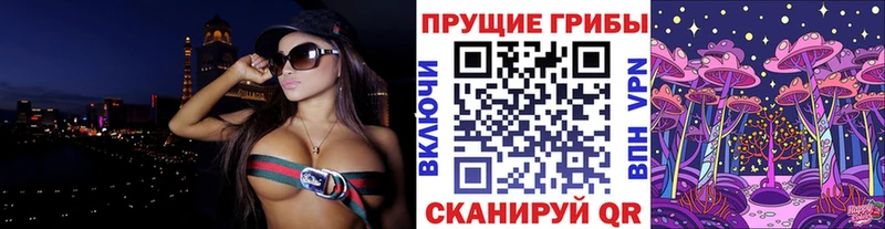 Галлюциногенные грибы Psilocybine cubensis Каменск-Шахтинский